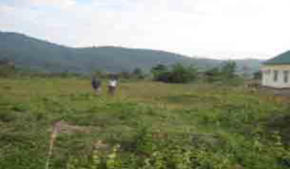 Two people walking across a grassy field with mountains in the background and a small building to the right.