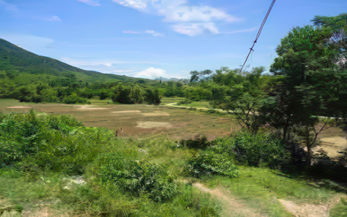 A grassy field with patches of brown soil, surrounded by trees and hills under a clear blue sky.