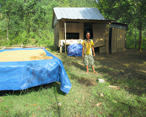 Person standing in front of a wooden house with a blue tarp-covered drying area in a rural outdoor setting. Trees and vegetation surround the area.