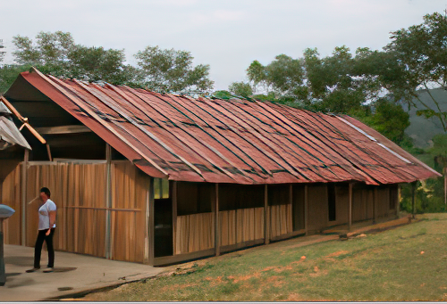 A person stands beside a long building with a corrugated metal roof and wooden walls. Trees and a hill are visible in the background.